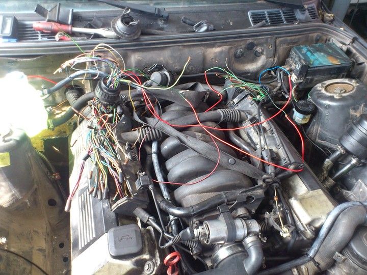 Cableado E30 V8 M60