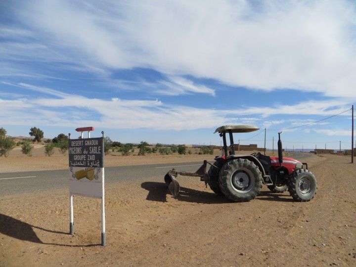 Desierto Atlas