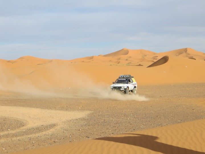 Toyota 4runner palomino