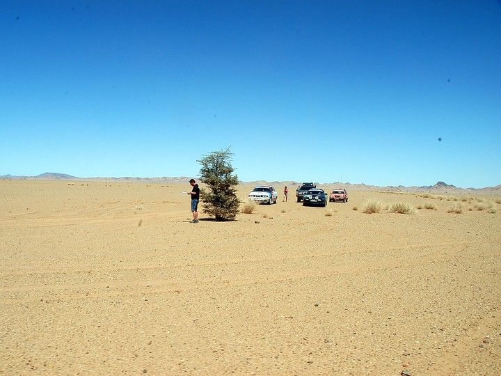 Desierto Atlas