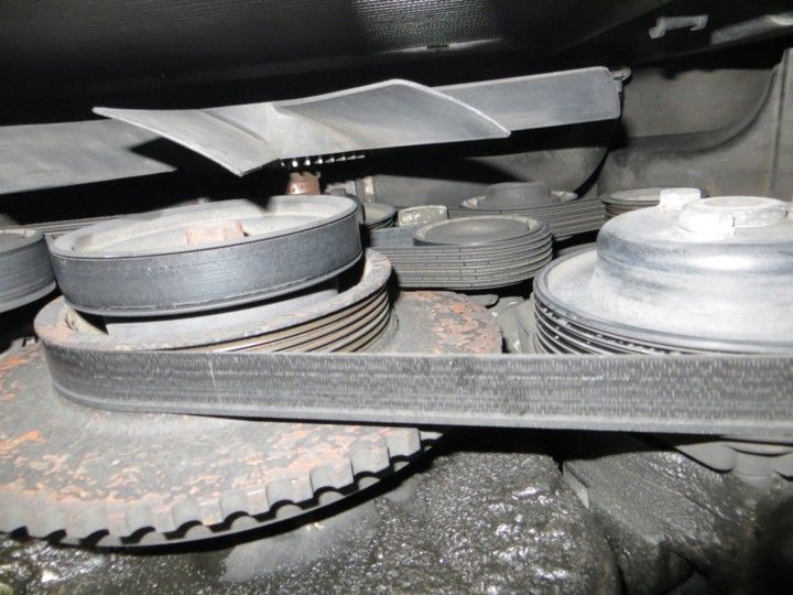 Correas motor m50